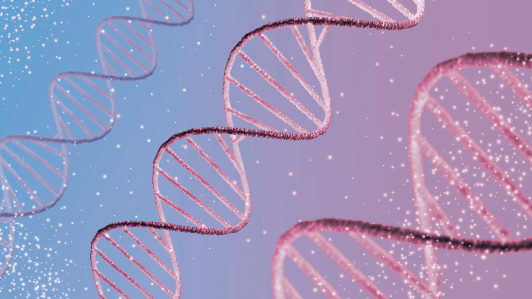 Συναισθήματα, Πεποιθήσεις και DNA