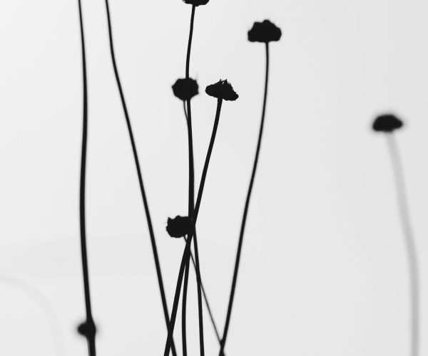 yapo-zhou-YIPSx8PFi9s-unsplash